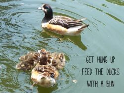 826fe269-cf82-4837-9c5a-bc0d4356296b-2