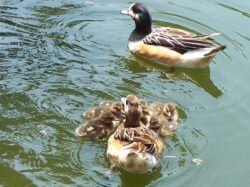 f7750535-c952-4141-8d95-d306edbf9321-2