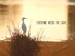 4aa074bd-4e88-4959-826f-7776eb8cfa1e