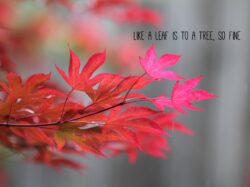 522a136d-1779-4f26-990c-43acd25d10f5