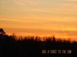 96554876-8a73-4992-9137-39a7d3e6b1cf