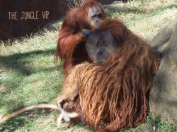 aa6513ae-ada2-4ebc-82a2-cdb32f52641d