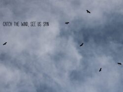 f75b9a62-f123-46e2-95c4-da7716affdfa