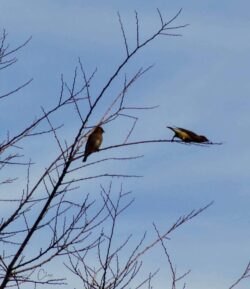 img_4887-copy-copy-2