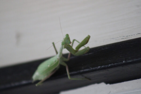 05e288e1-a195-4911-a567-ab6a86353534