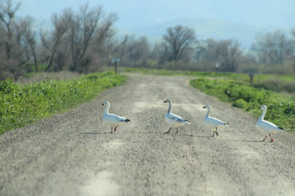 0b3ba85a-2684-4d31-9874-21c322861f66