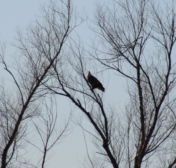 5750e418-2051-4726-b51e-9f1459b90d1e